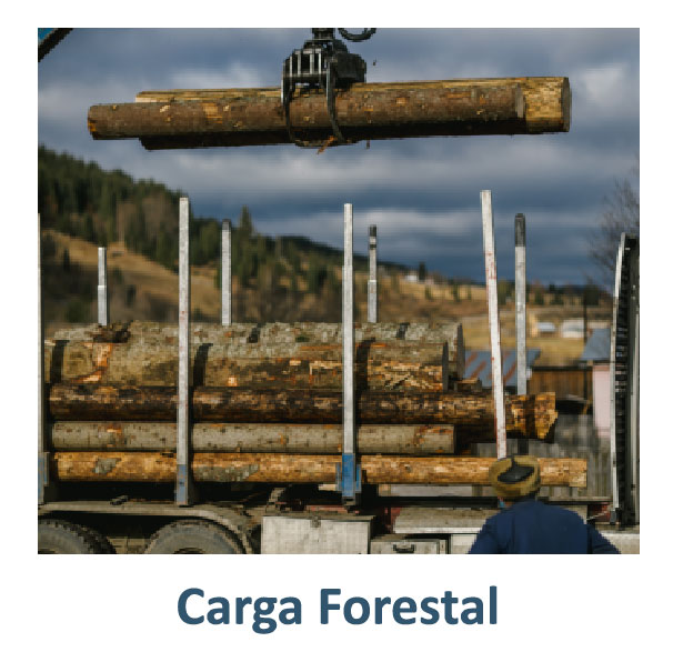 Imagen del servicio que ofrece